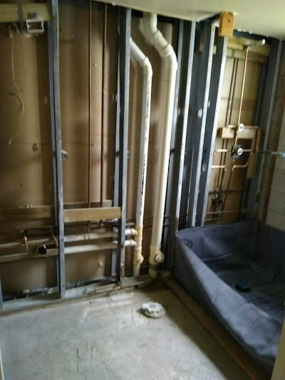 Alternatives to Flushing: Proper Disposal Methods