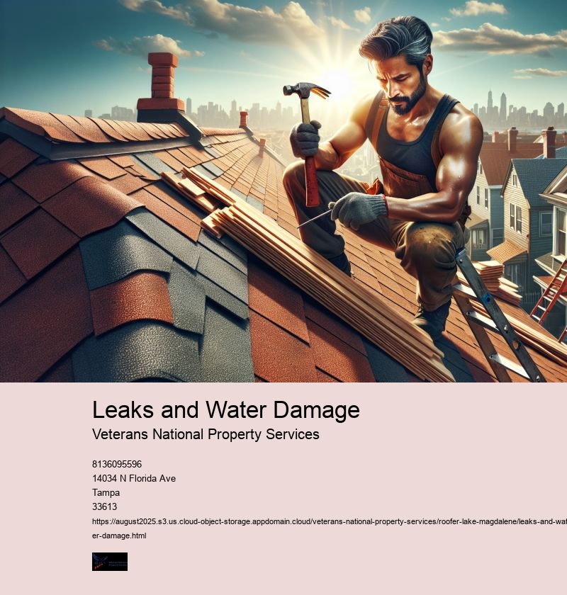 Leaks and Water Damage