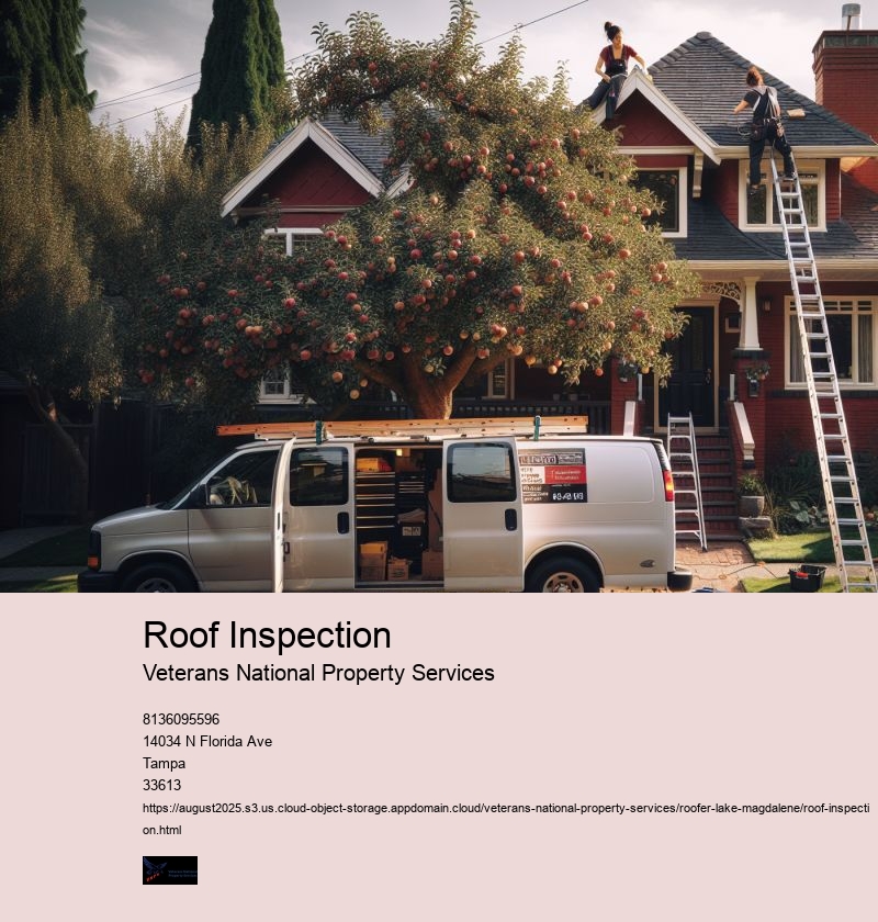 Roof Inspection