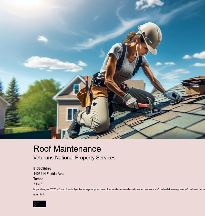 Roof Maintenance