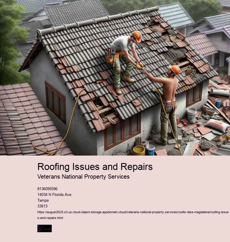 Roofing Issues and Repairs