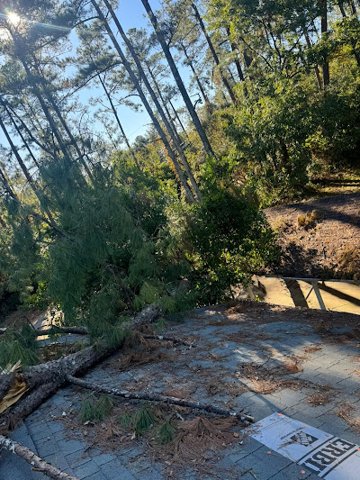 What is Stump Grinding?