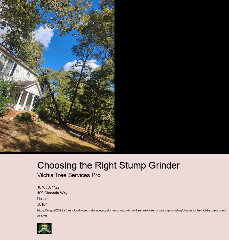 Types of Stump Grinders (Walk-Behind, Tow-Behind, Skid Steer Mounted)