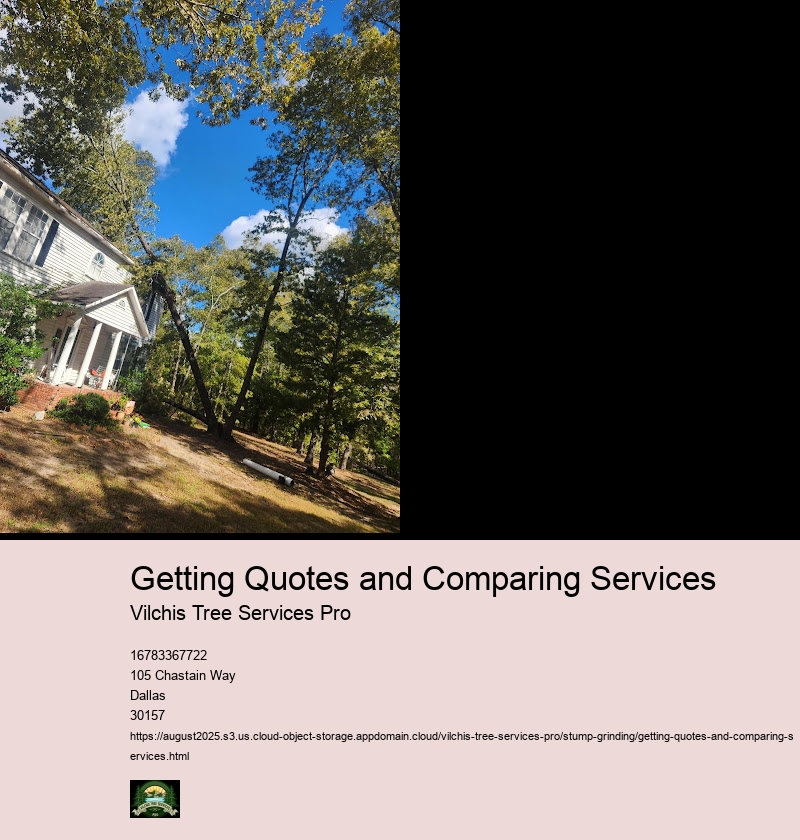 Understanding Stump Grinding Quotes: What to Look For.