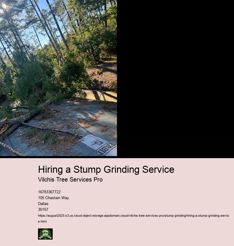 Evaluating Stump Grinding Service Quotes