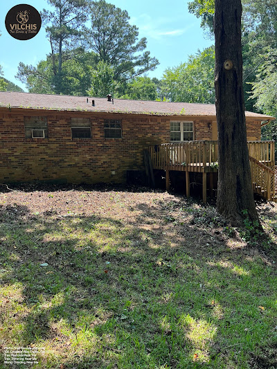 Making Your Final Decision: Choosing the Right Stump Grinder.