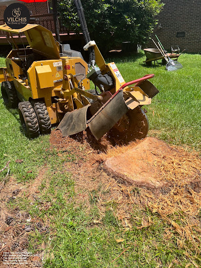 Handheld/Walk-Behind Stump Grinders