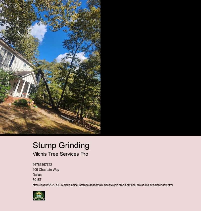 Stump Grinding Costs & Factors Affecting Pricing