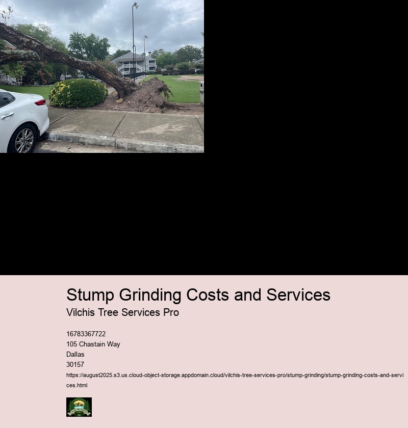 DIY Stump Grinding vs. Hiring a Professional