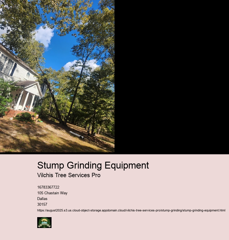 Different Types of Stump Grinders