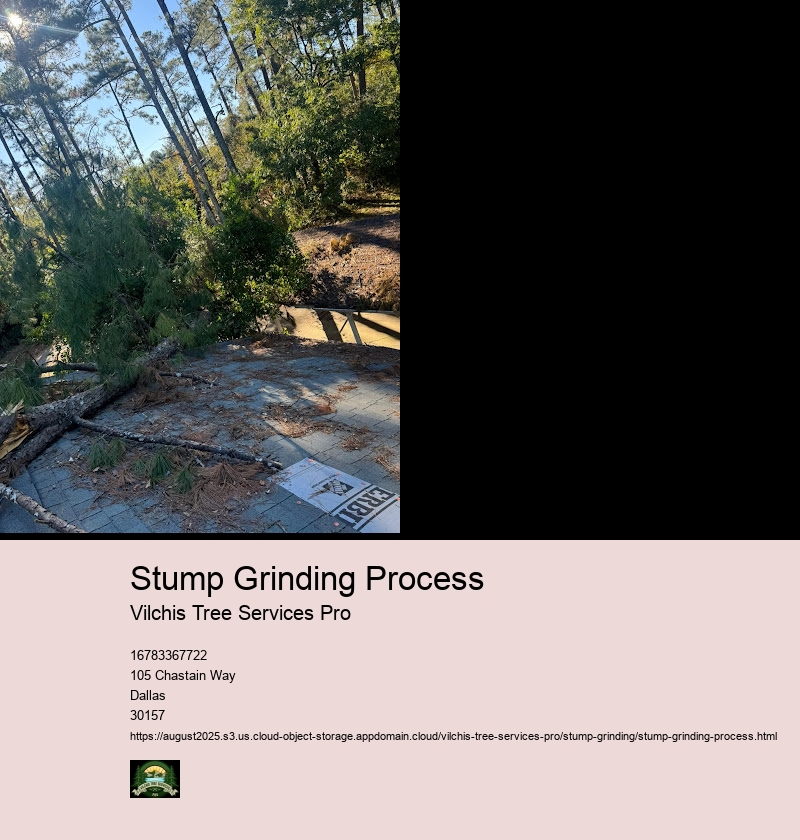 Safety Precautions During Stump Grinding