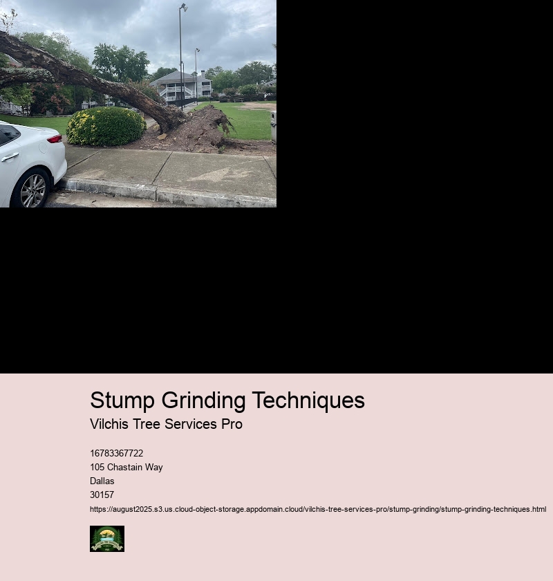Stump Grinding Safety Precautions