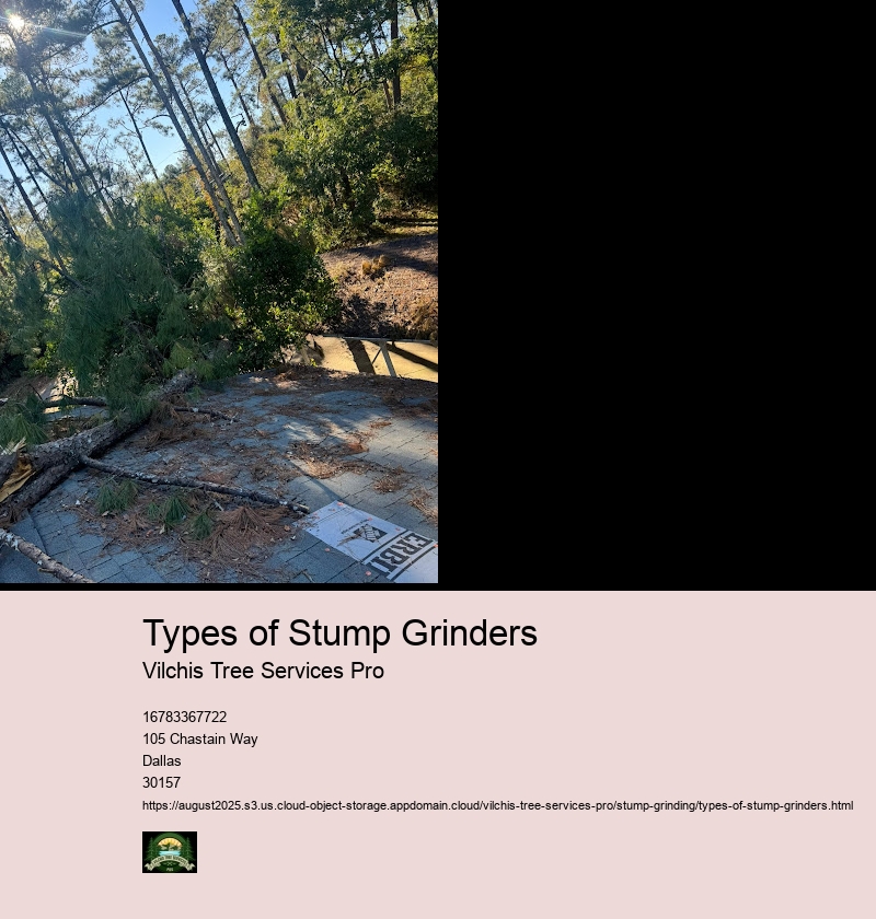 Self-Propelled Stump Grinders