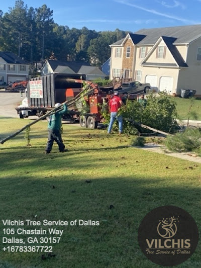 Choosing the Right Stump Grinder for Your Needs